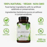B-Experts Leaf of Life Herbal Supplement label close-up