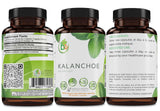 B-Experts Leaf of Life Herbal Supplement packaging details