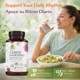 B-Experts Milk Thistle & Dandelion Root capsules in hand