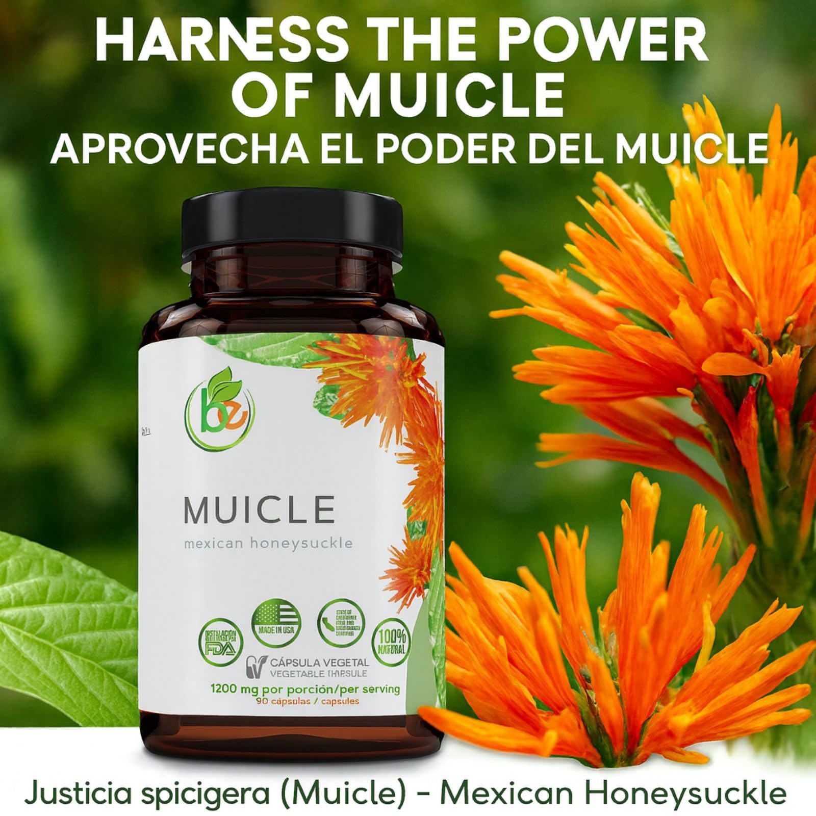B-Experts Muicle Herb Capsules packaging details