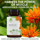 B-Experts Muicle Herb Capsules packaging details
