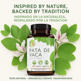 B-Experts Pata de Vaca Herbal Supplement with herbal background