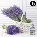 b Lavender Capsules 100% Organic label detail