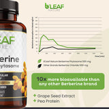 B'LEAF NATURE Berberine Phytosome Supplement back view