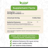 B'LEAF NATURE Berberine Phytosome Supplement bottle side view