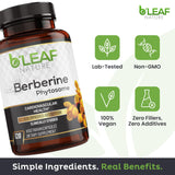 B'LEAF NATURE Berberine Phytosome Supplement capsules on a table