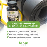 B'LEAF NATURE Quercetin Capsules with vitamin C and zinc ingredients