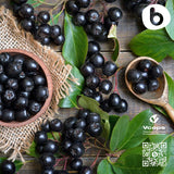 b Organic Aronia Berry Capsules alongside a glass of water