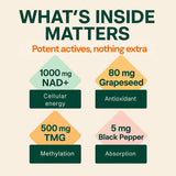 b.Ready NAD Gummies for Women nutritional information