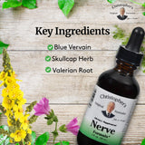 Back label of Christopher's Original Formulas Nerve Formula 2 oz