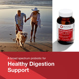 Back label of PROTOCOL FOR LIFE BALANCE ProtoDophilus Probiotic showing ingredients