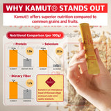 Back of ILO Multi-Enzymes packaging