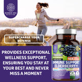 Back of Number One Nutrition Elderberry daily wellness Support Supplement bottle with ingredient list