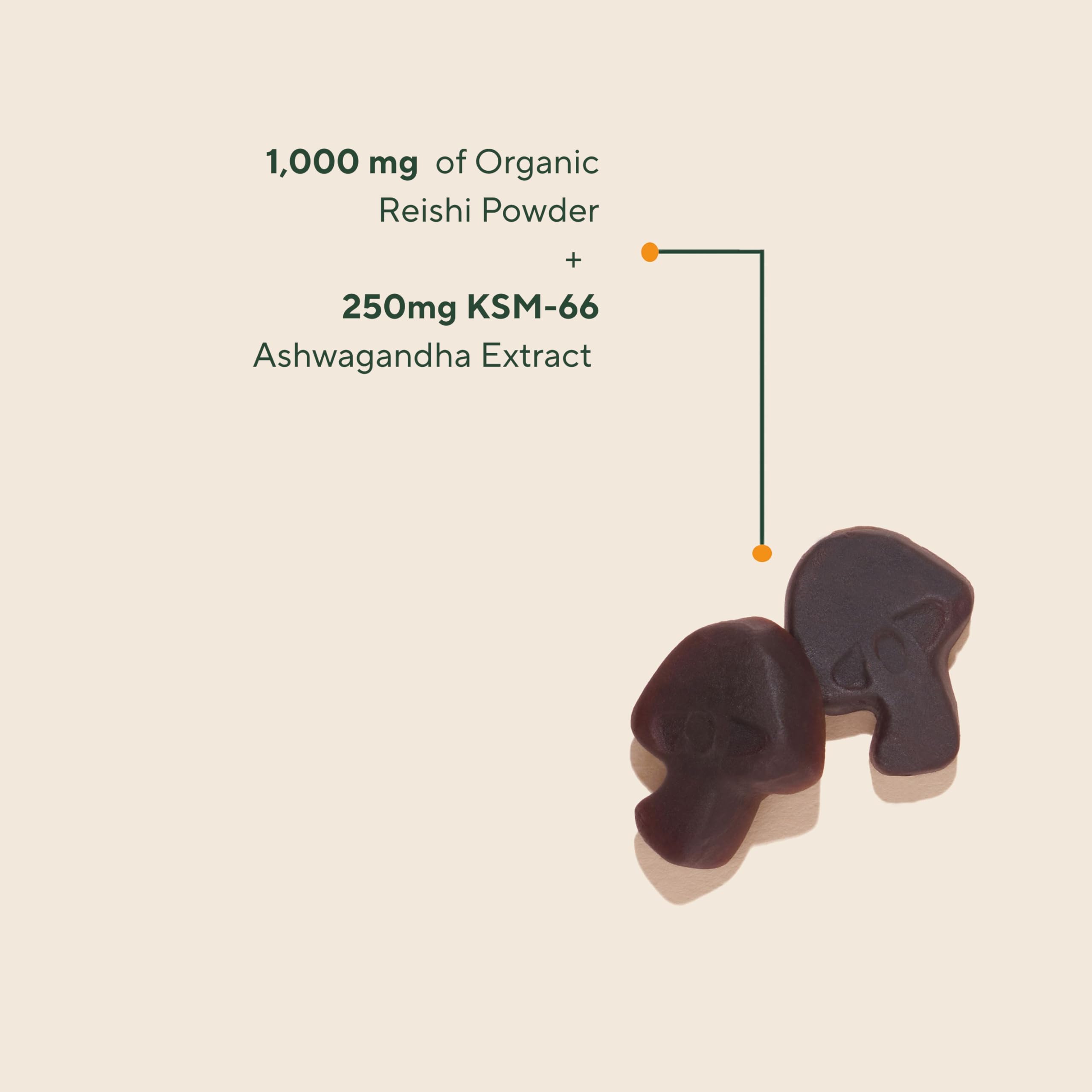 Back of OM MUSHROOM SUPERFOOD daily wellness Gummies packaging showing ingredients