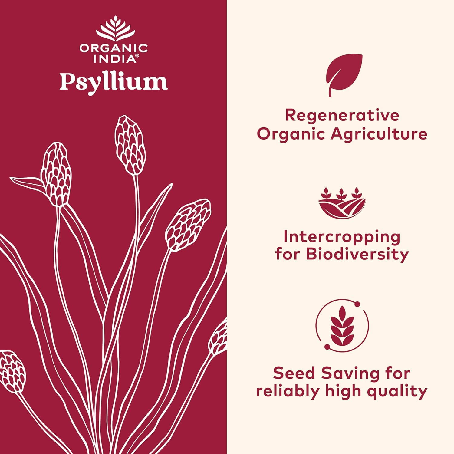 Back of ORGANIC INDIA Psyllium Husk 340g packaging