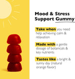 Back of the RESCUE Bach Rescue Plus Gummies packaging