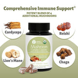 Back of WL Herbal Treasure Lion's Mane Mushroom Capsules packaging