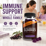 Back of Zeal Naturals Elderberry Gummies packaging with ingredient list