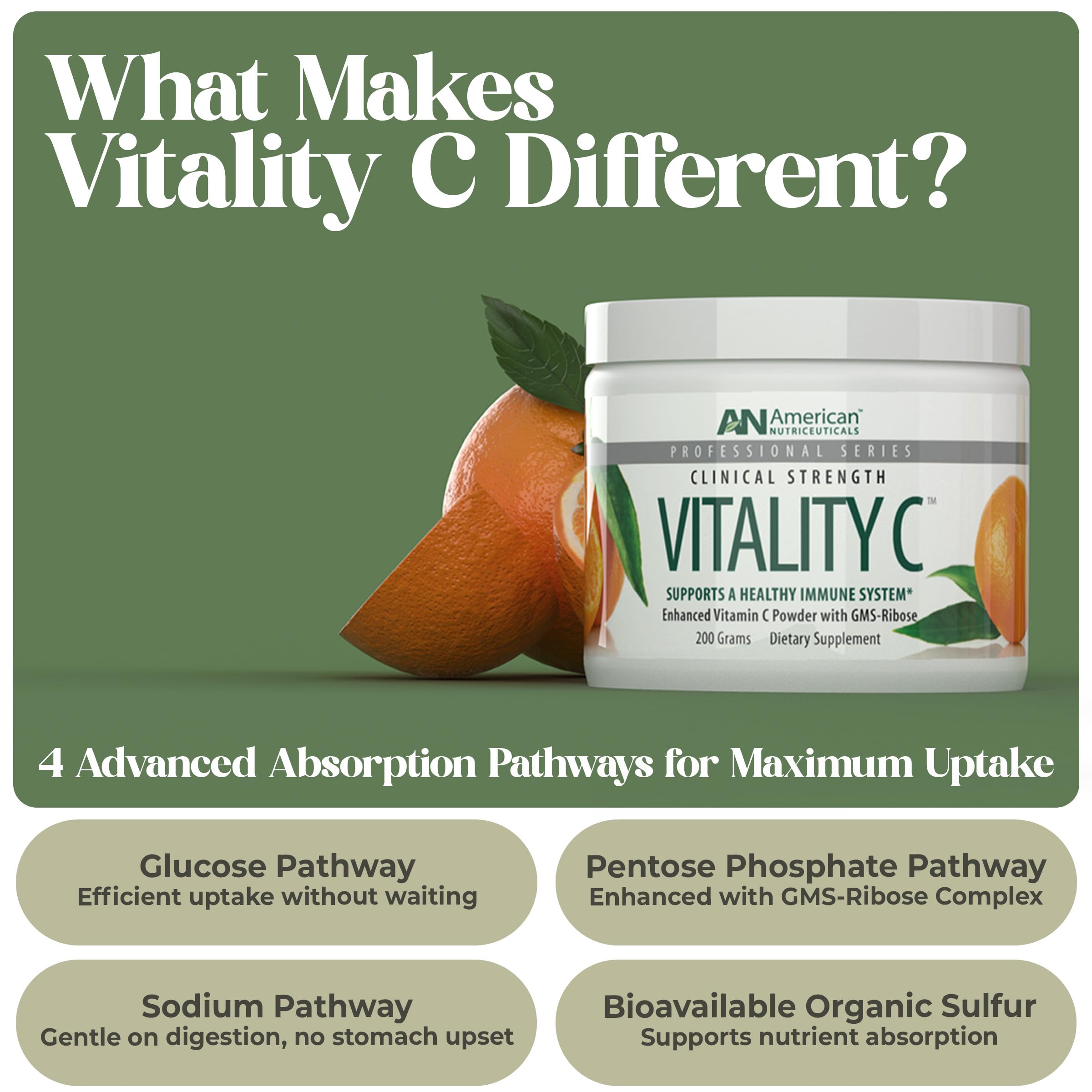 Back view of American Nutriceuticals Vitamin C Powder 231g packaging