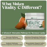 Back view of American Nutriceuticals Vitamin C Powder 231g packaging