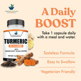 Back view of American Standard Supplements Turmeric Capsules bottle