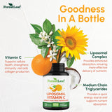 Back view of ForestLeaf Liposomal Vitamin C bottle