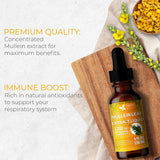 Back view of FRESHDRINKUS Mullein Extract Liquid 1200mg bottle showing ingredients