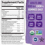 Back view of Garden of Life Elderberry Gummies packaging