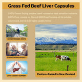 Back view of Generic Beef Liver Capsules packaging