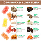 Back view of Generic Mushroom Blend Gummies packaging