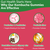 Back view of Itiban Kombucha Gummies packaging with nutritional information