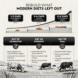 Back view of KUZEOLON Beef Organ Blend Supplement packaging