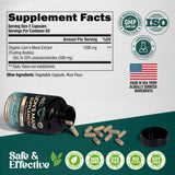 Back view of NUTRAHARMONY Lion's Mane Mushroom Capsules bottle
