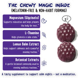 Back view of OH MY CHEWY Kids Magnesium Gummies 308g packaging