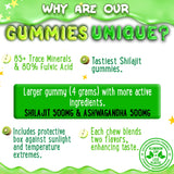 Back view of OH MY CHEWY Shilajit Gummies packaging