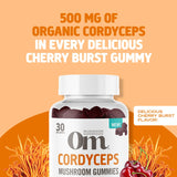 Back view of OM MUSHROOM SUPERFOOD Cordyceps Gummies packaging