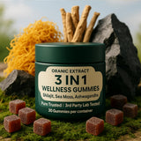 Back view of ORANIC EXTRACT Shilajit Supplement packaging