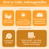 Back view of ORGANIC INDIA Ashwagandha Capsules with ingredient list
