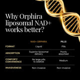 Back view of Orphira Nutrition Liposomal NAD+ Liquid Supplement bottle