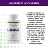 Back view of Paradise Herbs L-Carnosine Capsules packaging