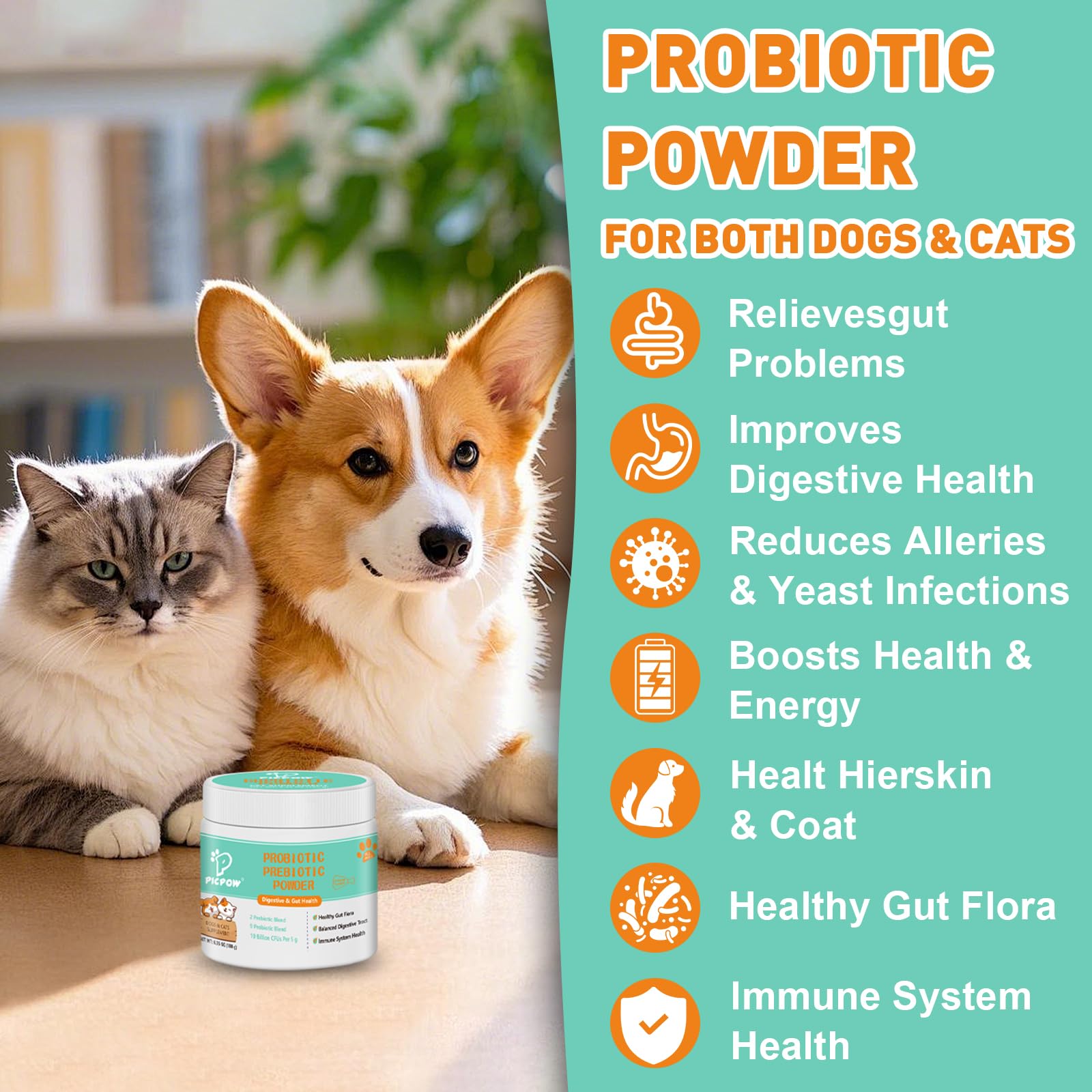 Back view of PICPOW Probiotic Powder packaging
