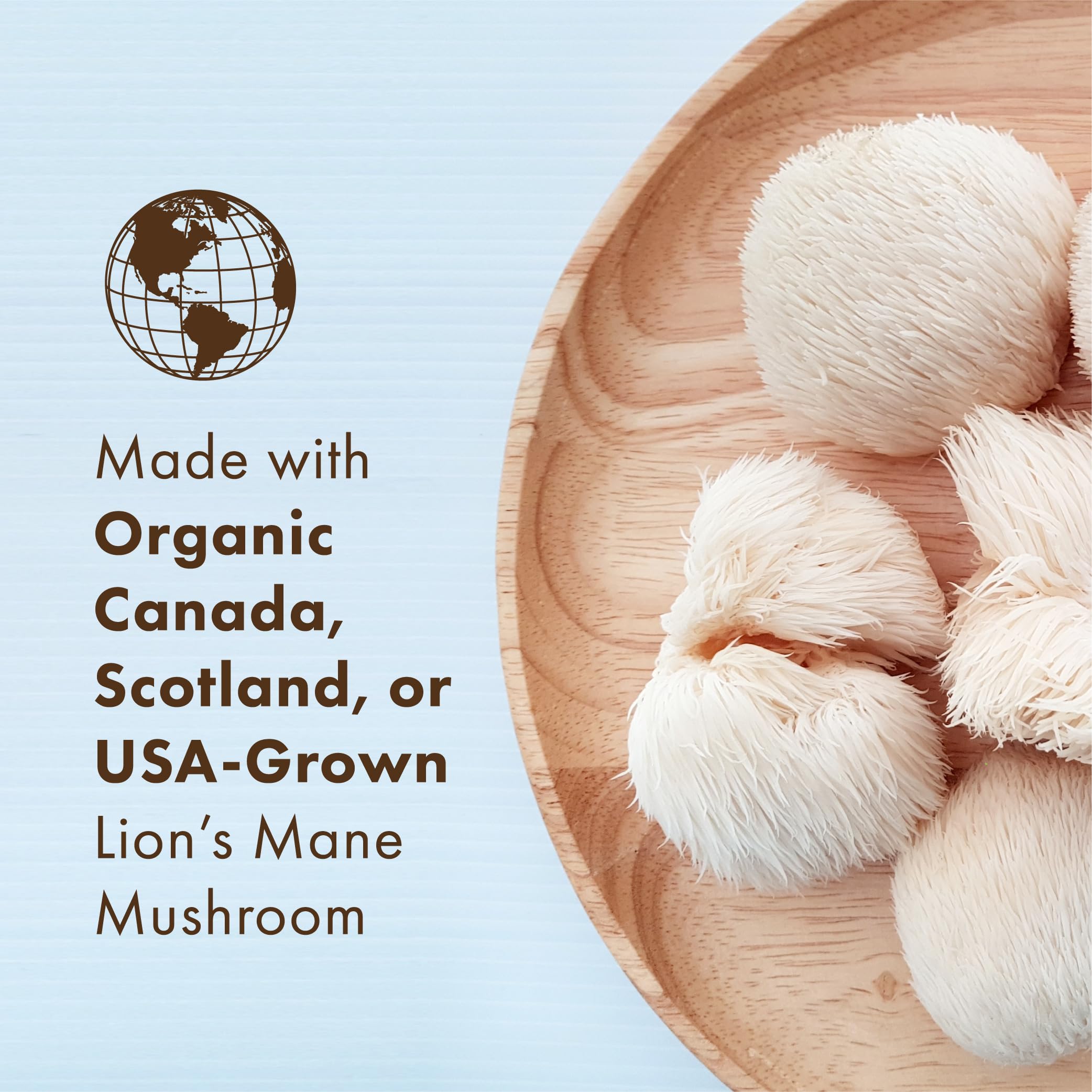 Back view of PURE ESSENCE LABS Lion's Mane Mushroom Extract with ingredient details