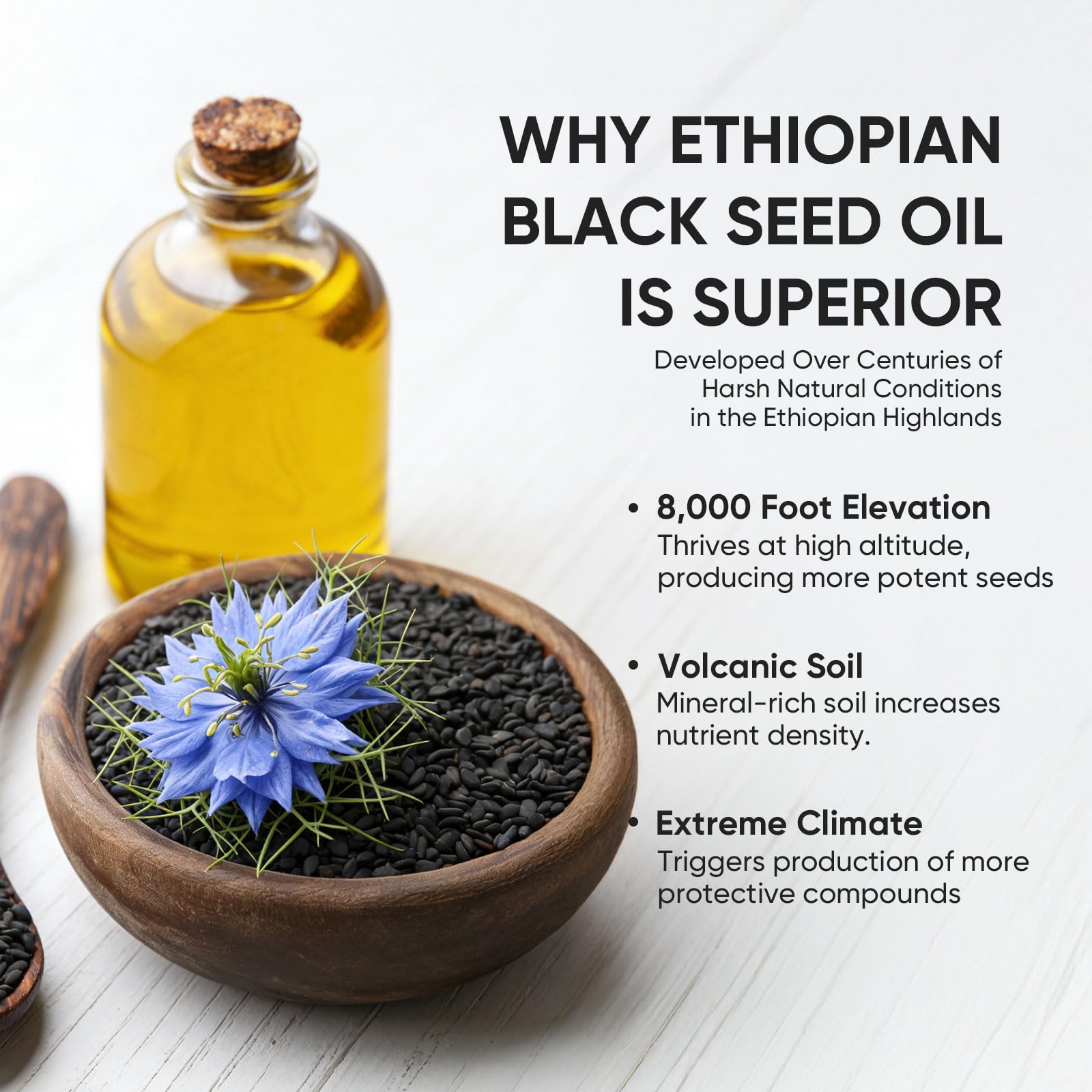 Back view of PURELYNUTRIENT Black Seed Oil Softgels packaging