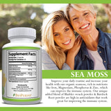 Back view of Simple Life Nutrition Irish Sea Moss Capsules bottle with ingredients list
