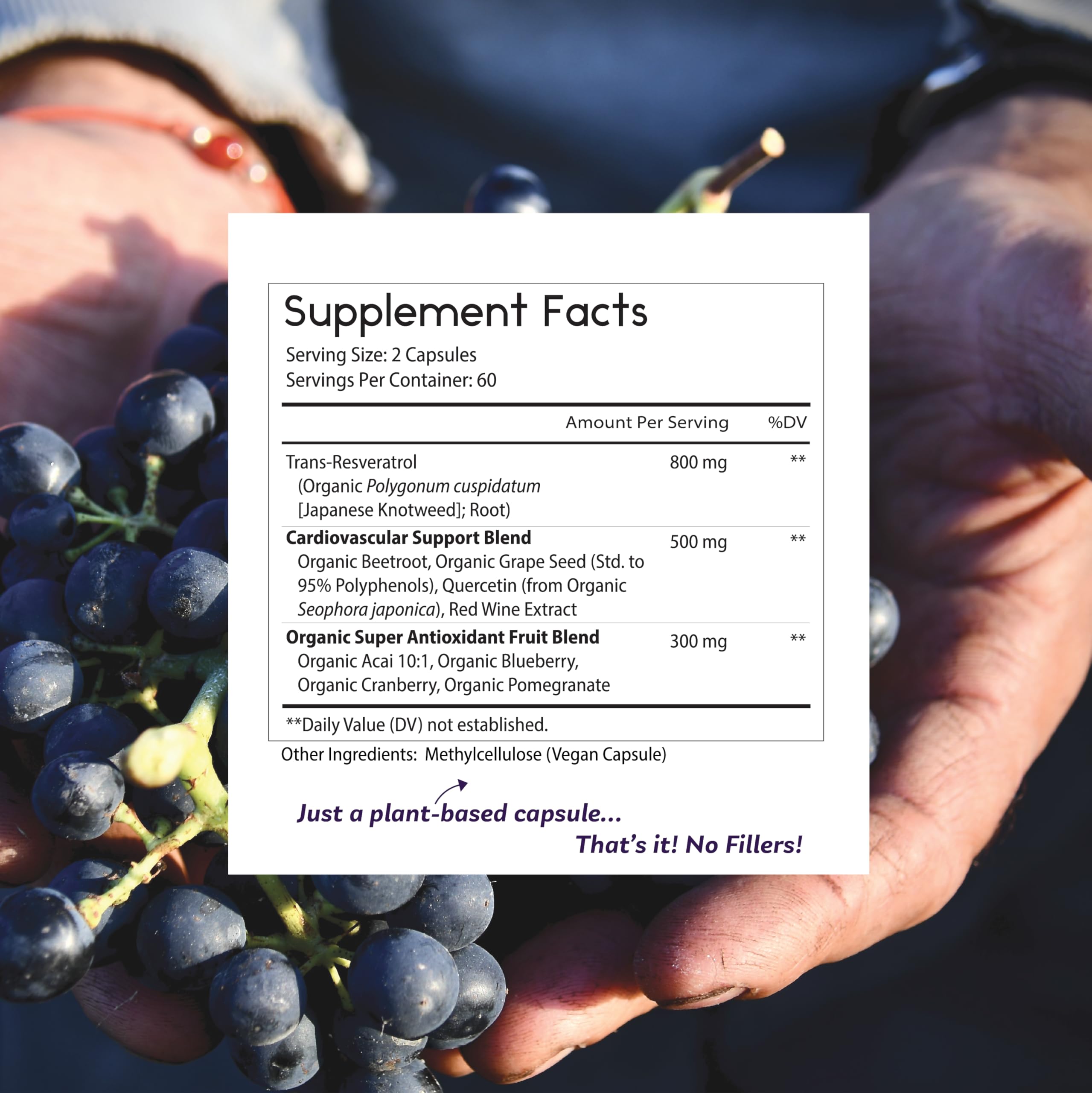Back view of Thomas' Resveratrol Plus supplement facts