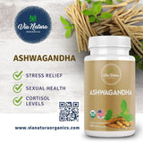 Back view of Via Natura Organics Organic Ashwagandha bottle showing ingredients