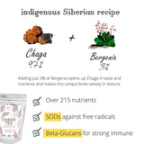 Baikal Tea Chaga Mushroom Tea package back view