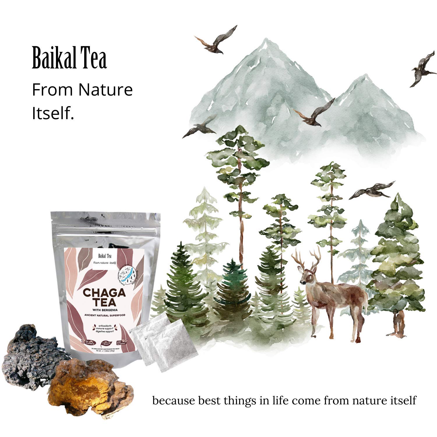 Baikal Tea Chaga Mushroom Tea with a thermos