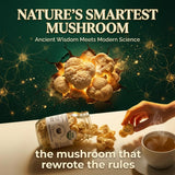 Baja North Mercantile Organic Mushroom Supplement 10g packaging details