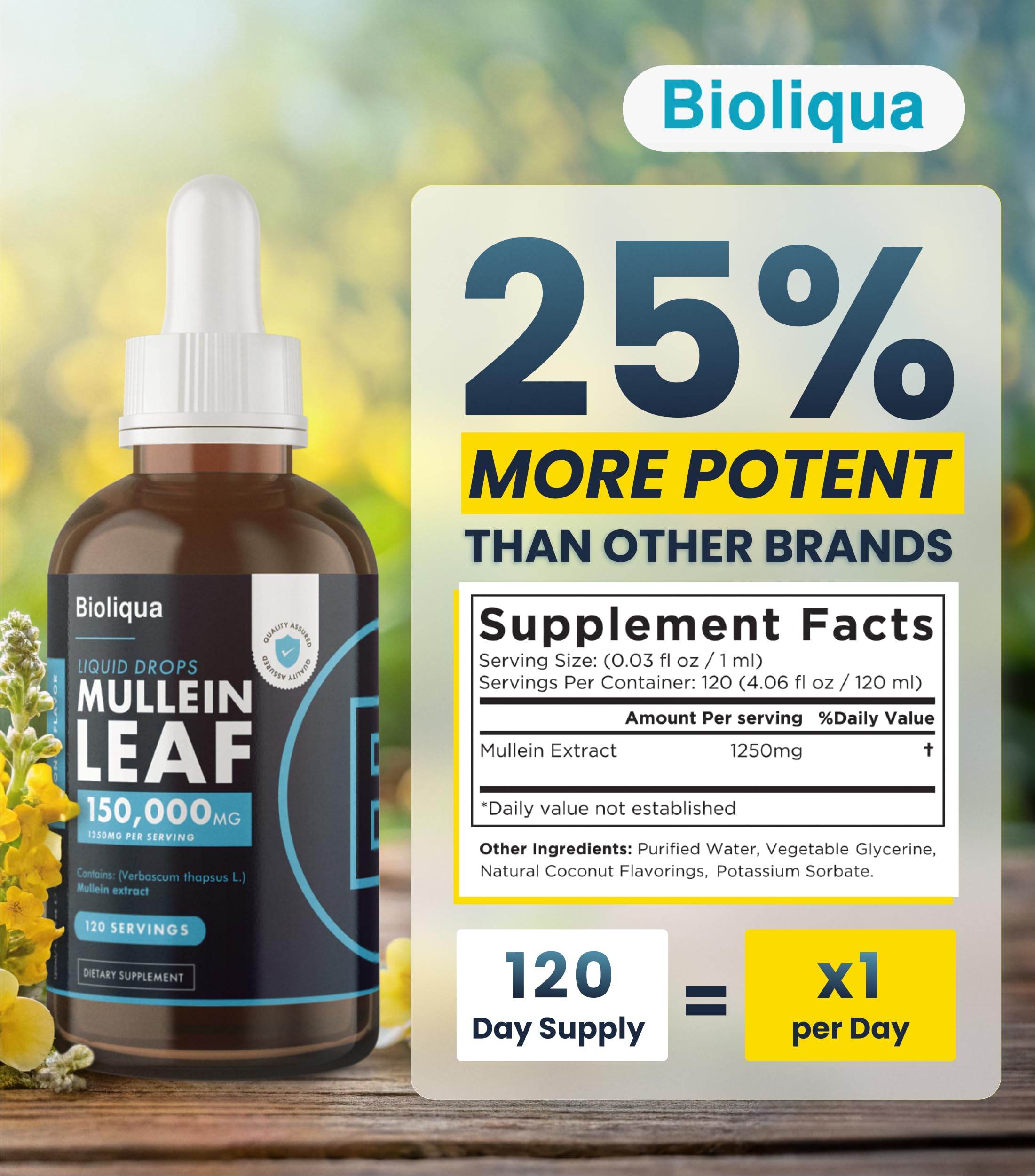 Balance Mullein Leaf Drops bottle with measuring dropper